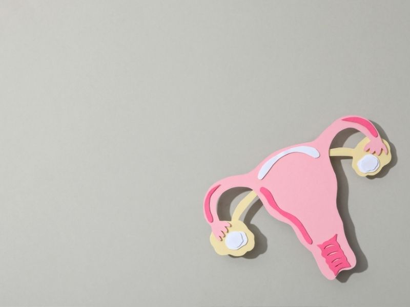 hsg-cekiminde-kullanilan-modern-teknolojiler